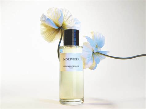 dioriviera parfum probe|dioriviera perfume 2023.